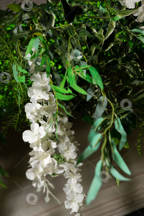 Скачать Пышная зелень со свисающими цветами фотосток Ozero