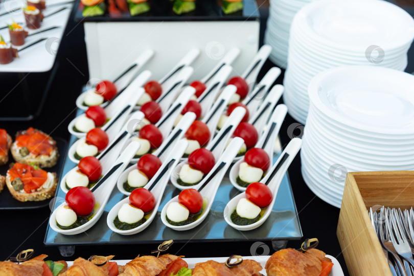 Скачать Элегантный шведский стол с закусками фотосток Ozero
