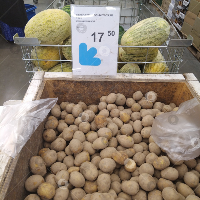 Скачать Он назвал себя в магазе "Умным". фотосток Ozero