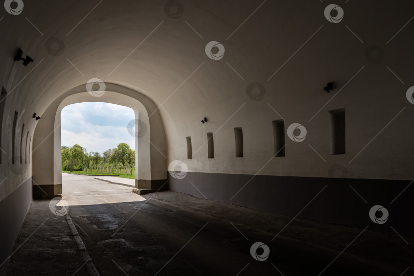 Скачать Залитый солнцем вид из изогнутого туннеля с зелеными деревьями и дорогой впереди фотосток Ozero