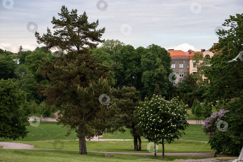 Скачать Безмятежный парковый пейзаж с пышными деревьями и историческими зданиями на заднем плане фотосток Ozero