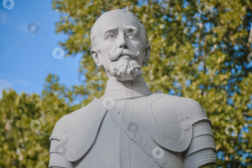 Скачать Историческая каменная статуя бородатого мужчины в доспехах на фоне деревьев фотосток Ozero