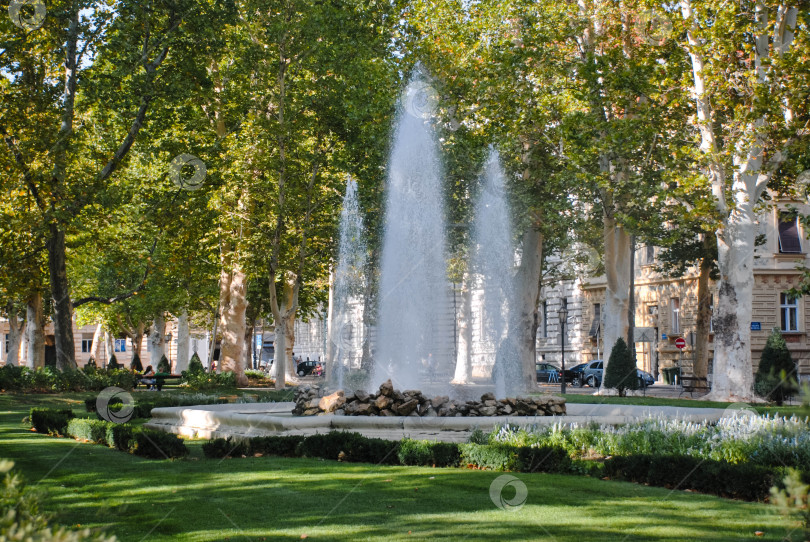 Скачать Элегантный фонтан, окруженный пышными зелеными деревьями в парковой зоне фотосток Ozero