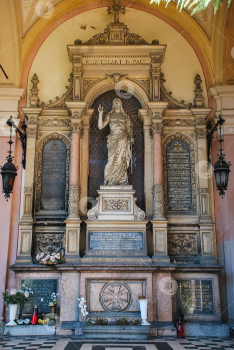 Скачать Богато украшенный кладбищенский памятник с мраморной статуей и надписями в исторической часовне фотосток Ozero