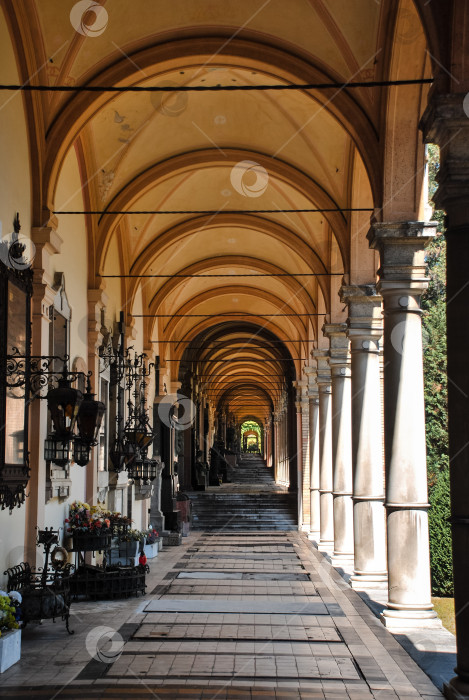 Скачать Историческая европейская арочная дорожка с каменными колоннами и сводчатым потолком фотосток Ozero