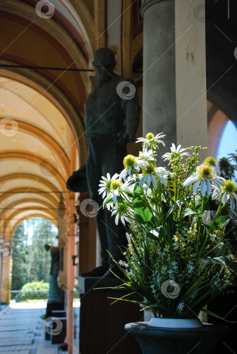 Скачать Статуя и цветочная композиция в освещенном солнцем сводчатом коридоре фотосток Ozero