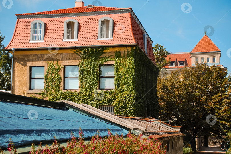 Скачать Очаровательный европейский дом с увитыми плющом стенами и красной крышей фотосток Ozero