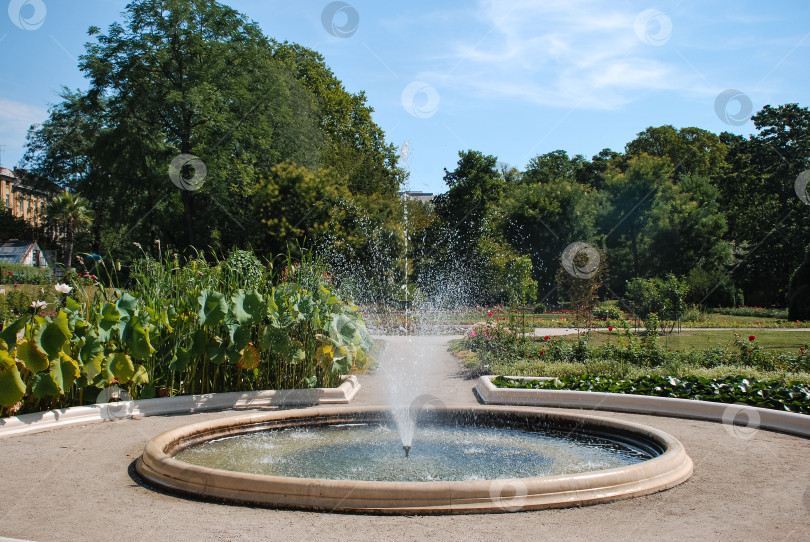 Скачать Безмятежный фонтан в пышном зеленом саду в солнечный день фотосток Ozero