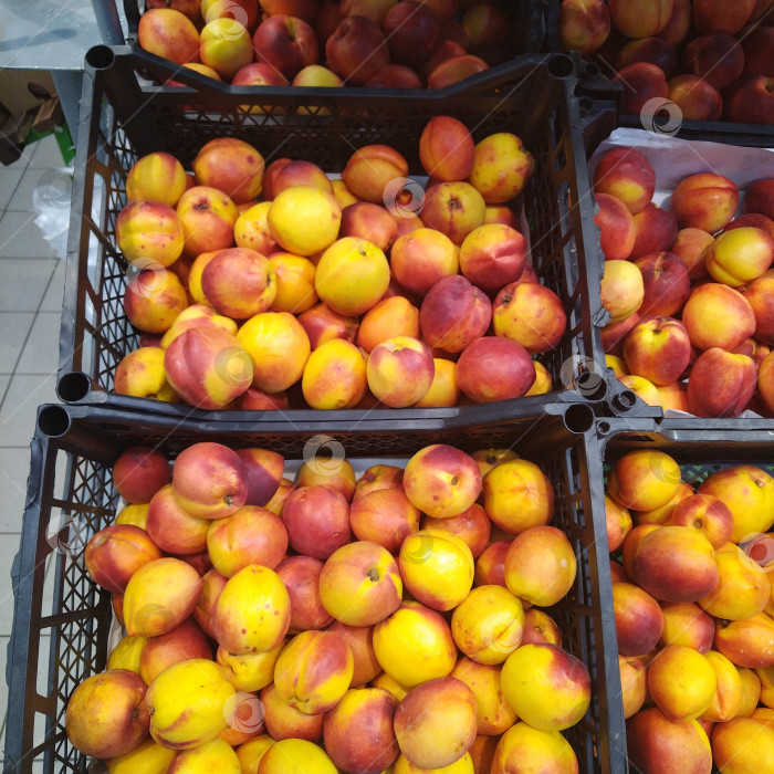 Скачать Отдел нектаринов в магазине "Магнит". фотосток Ozero