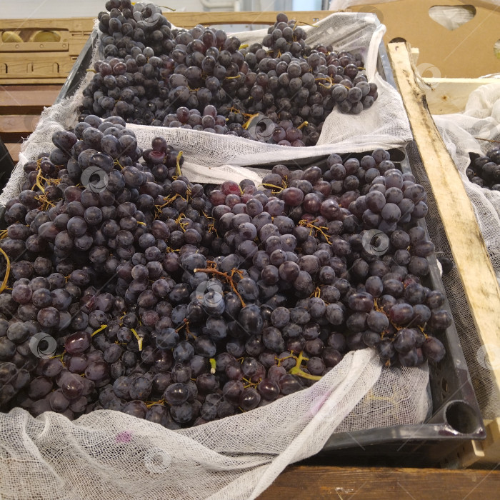 Скачать Отдел винограда в магазине "Магнит". фотосток Ozero