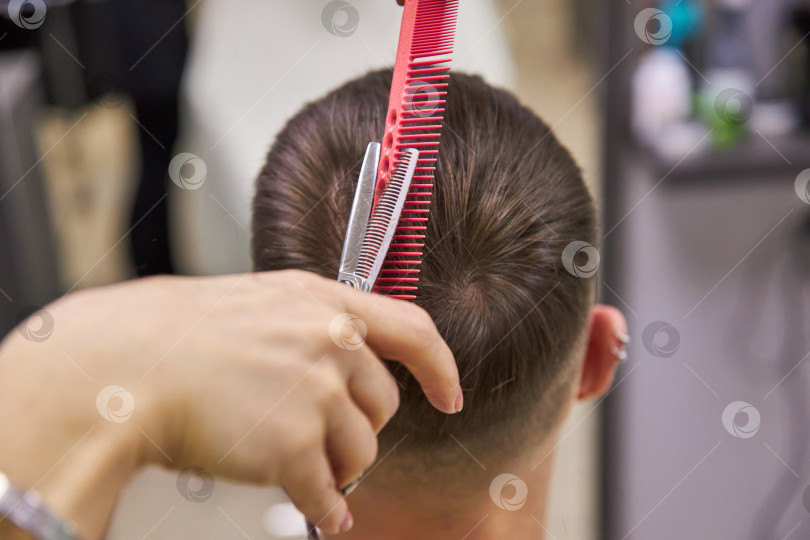 Скачать парикмахер, подстригающий волосы ножницами. Услуга стрижки фотосток Ozero