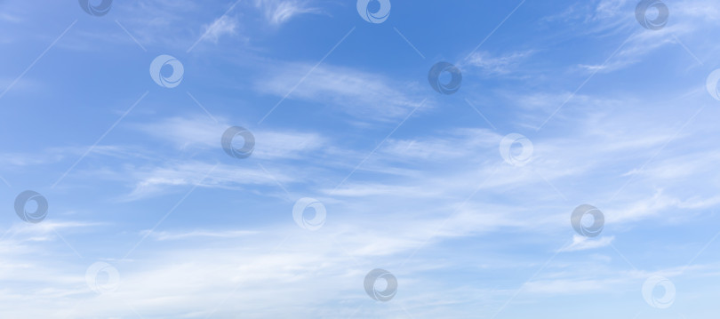 Скачать облака из перьев в небе. Фон для баннера, веб-сайта фотосток Ozero