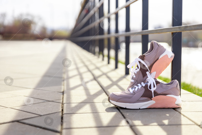 Скачать кроссовки в ярких лучах солнца на брусчатке фотосток Ozero