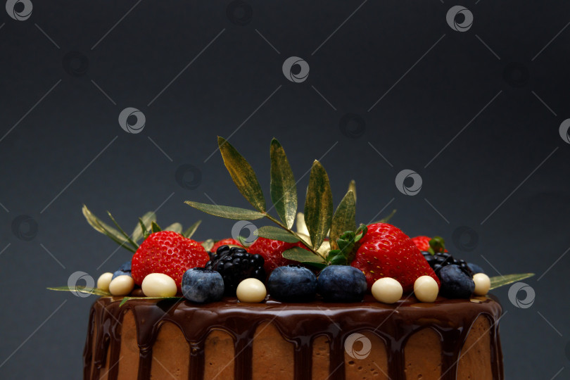 Скачать торт в шоколадной глазури с клубникой, черникой и ежевикой фотосток Ozero