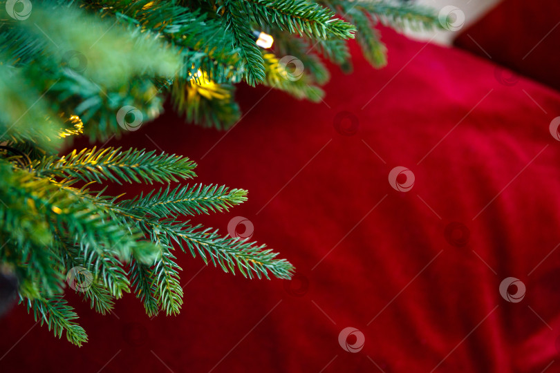 Скачать Еловые ветки с гирляндой на фоне размытой подушки фотосток Ozero