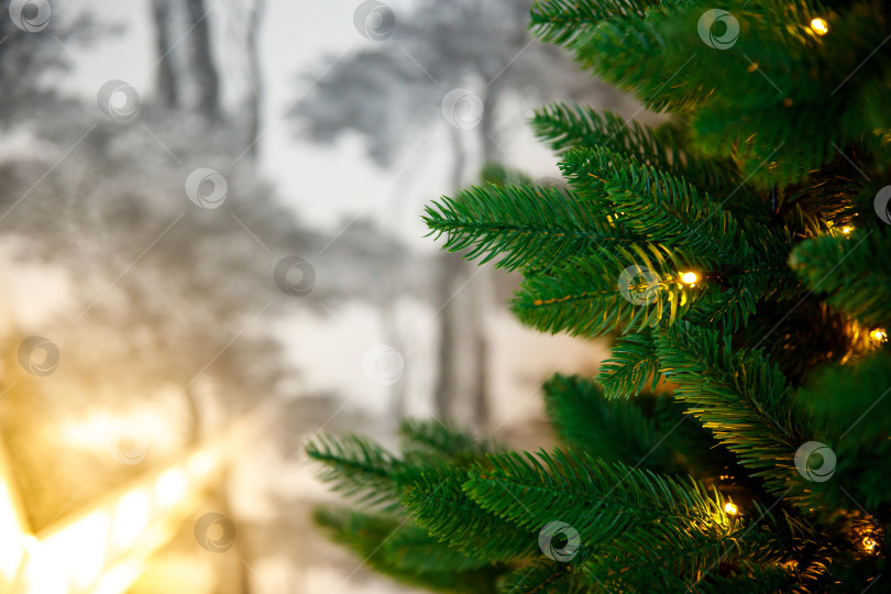 Скачать Рождественская елка, украшенная гирляндой фотосток Ozero