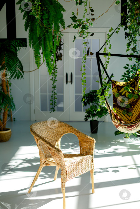 Скачать стулья стоят в комнате, украшенной растениями фотосток Ozero