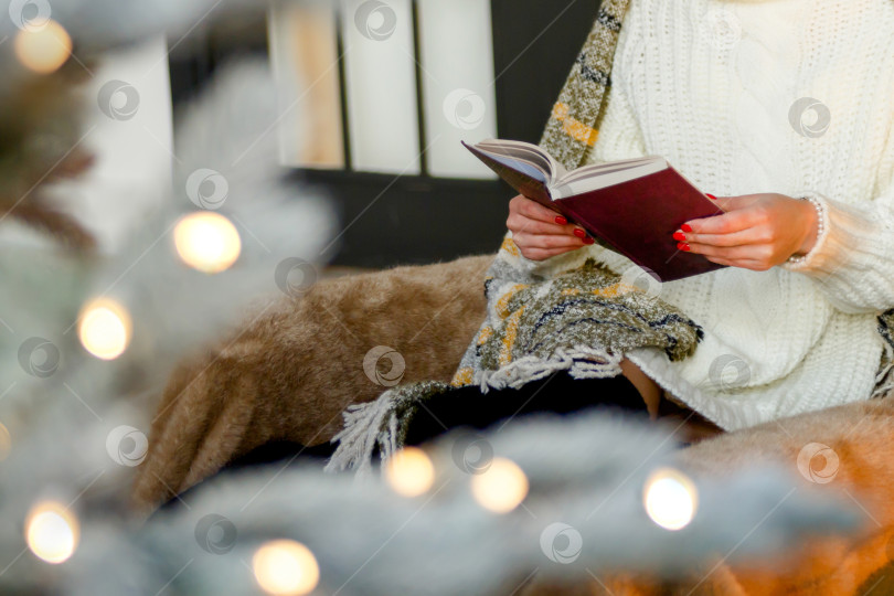 Скачать женщина в свитере сидит в кресле и читает книгу фотосток Ozero
