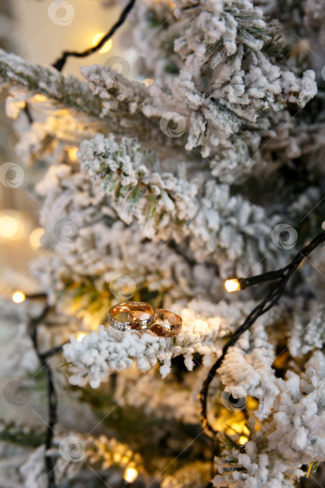 Скачать два обручальных кольца на ветке рождественской елки фотосток Ozero