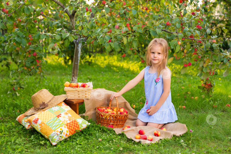 Скачать девушка в платье сидит рядом с плетеной корзиной фотосток Ozero