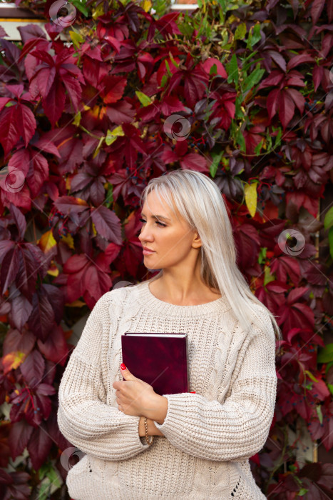 Скачать женщина в свитере стоит с книгой в руках фотосток Ozero