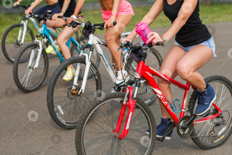 Скачать обрезанное изображение группы женщин, сидящих на велосипедах фотосток Ozero