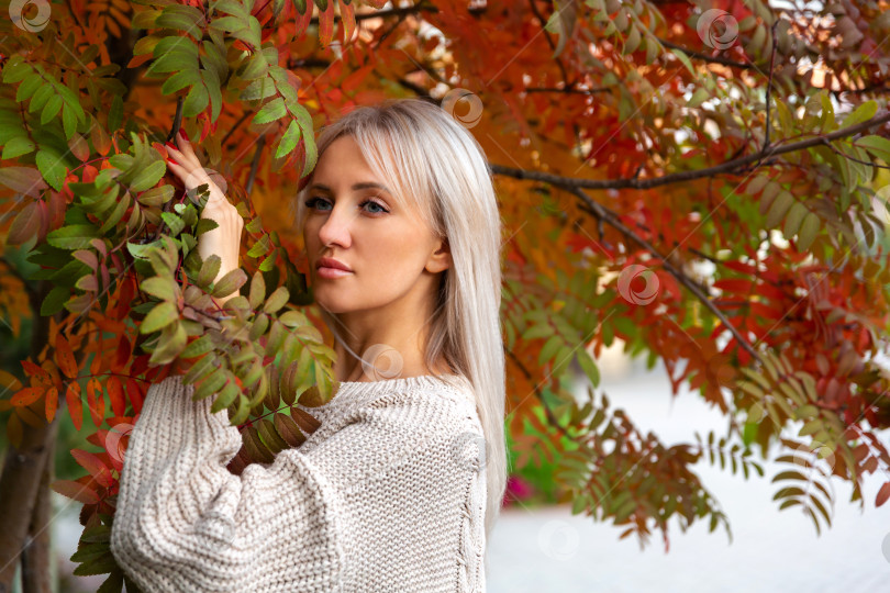 Скачать женщина в свитере держит в руке ветку рябины фотосток Ozero