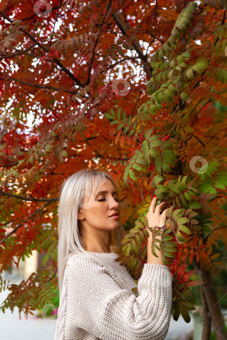 Скачать женщина в свитере держит в руке ветку рябины фотосток Ozero