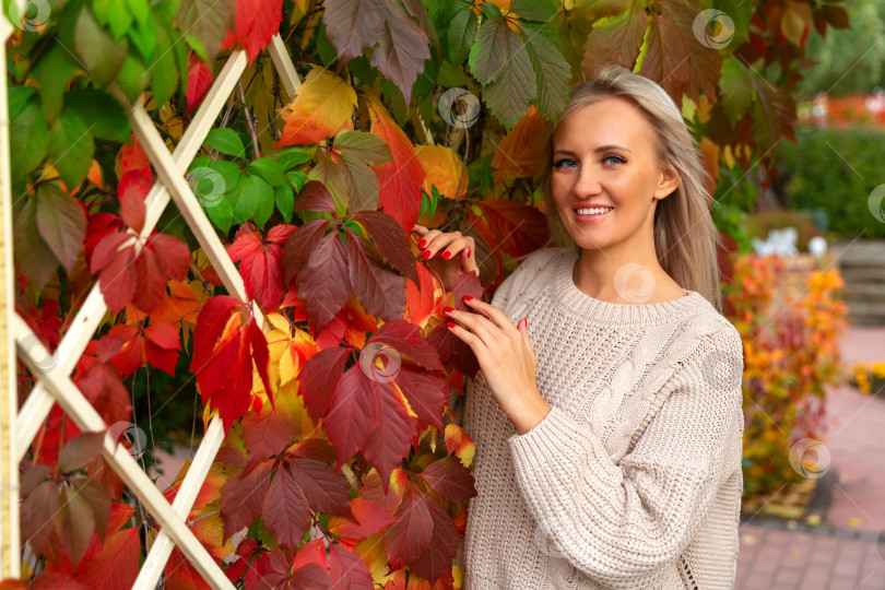 Скачать женщина в свитере стоит возле желтых осенних листьев виноградной лозы фотосток Ozero
