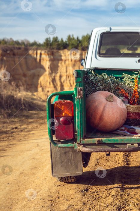 Скачать тыква и облепиха лежат в прицепе автомобиля фотосток Ozero