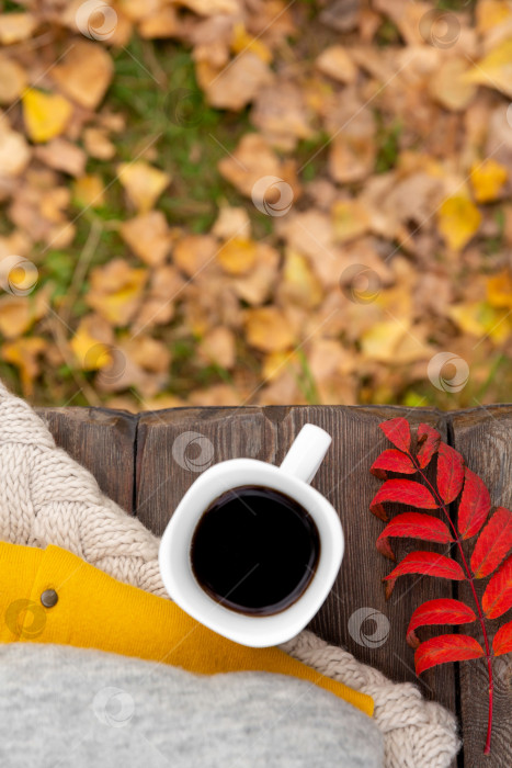 Скачать Осенний фон или открытка. Кофе в белой кружке на деревянной скамейке. Осенний лист и теплый вязаный свитер. фотосток Ozero