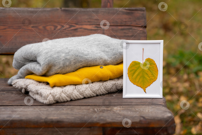 Скачать вязаная одежда и желтый лист в рамке на деревянной скамейке в парке. Осенний теплый шерстяной свитер фотосток Ozero