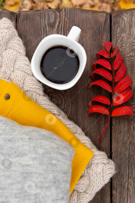 Скачать Осенний фон или открытка. Кофе в белой кружке на деревянной скамейке. Осенний лист и теплый вязаный свитер. фотосток Ozero