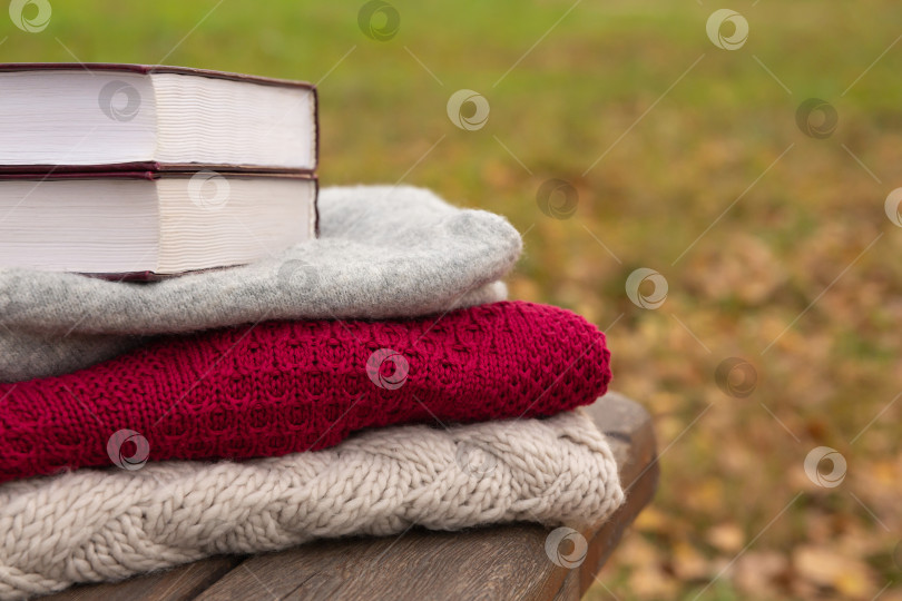 Скачать книга лежит на вязаном свитере, на грубых досках деревянной скамейки в парке. Осенний фон или открытка фотосток Ozero