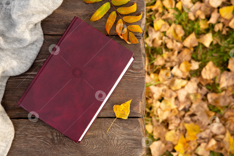 Скачать осенние желтые листья и книга лежат на грубых досках деревянной скамейки в парке. Осенний фон или открытка фотосток Ozero