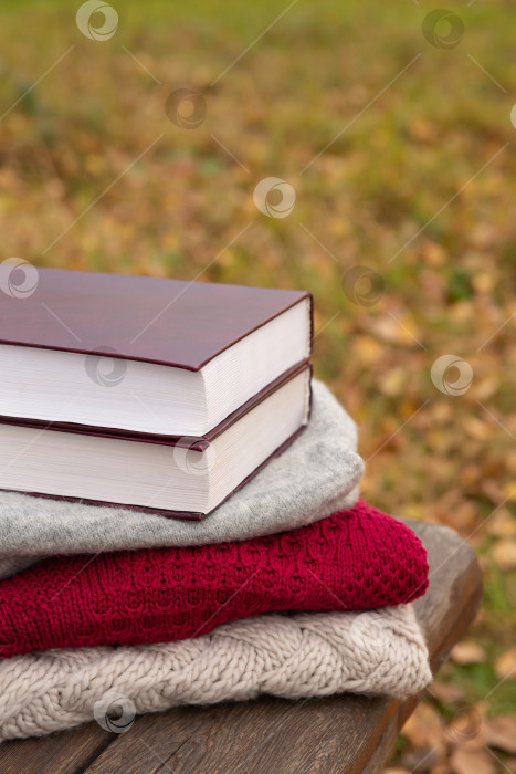 Скачать книга лежит на вязаном свитере, на грубых досках деревянной скамейки в парке. Осенний фон или открытка фотосток Ozero