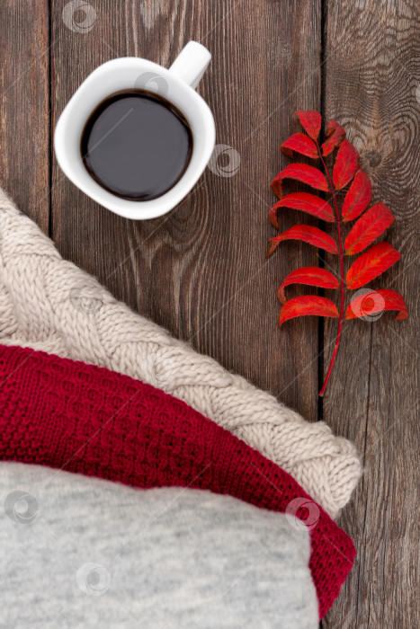 Скачать Осенний фон или открытка. Кофе в белой кружке на деревянной скамейке. Осенний лист и теплый вязаный свитер. фотосток Ozero
