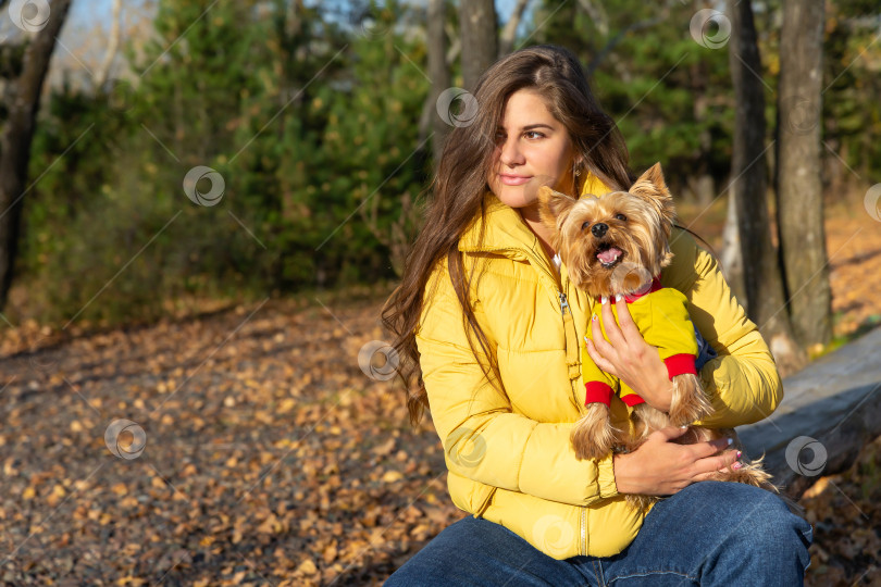 Скачать портрет женщины с собакой породы йоркширский терьер на руках в осеннем лесу фотосток Ozero