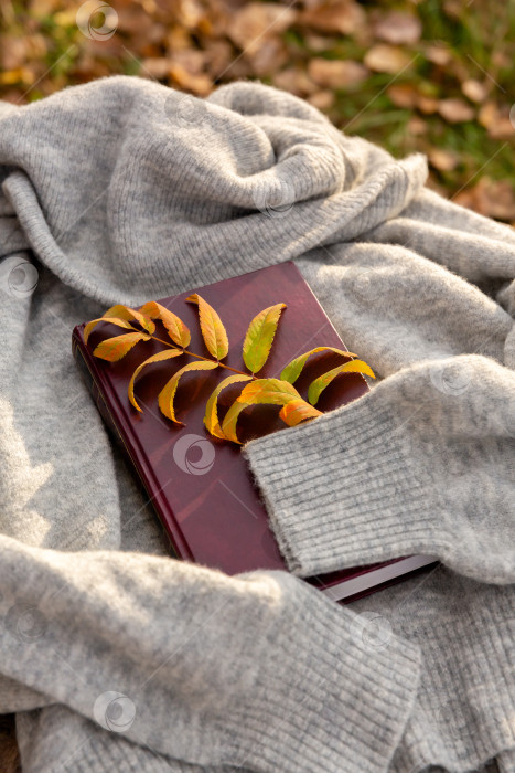 Скачать осенние желтые листья и книга лежат на теплом вязаном свитере в лучах заходящего солнца. Осенний фон или открытка фотосток Ozero