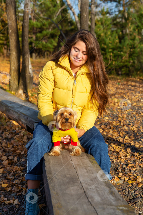 Скачать женщина и собака породы йоркширский терьер сидят на скамейке в парке фотосток Ozero