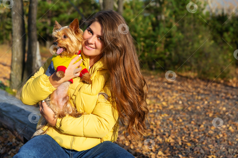 Скачать женщина гуляет по осеннему лесу и обнимает собаку фотосток Ozero
