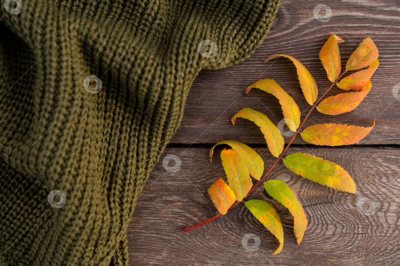 Скачать осенний желтый лист и зеленый вязаный свитер лежат на досках грубой деревянной скамьи в лучах заходящего солнца фотосток Ozero