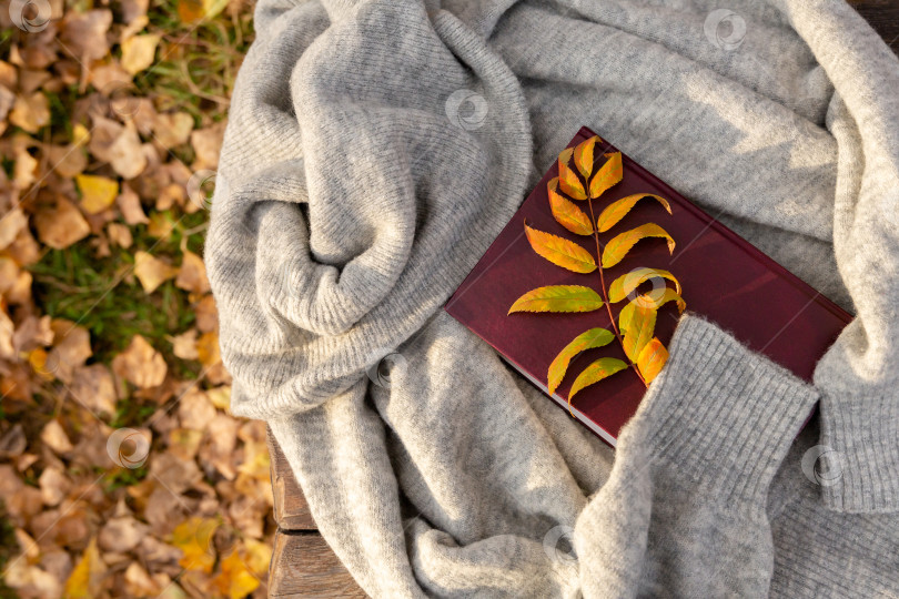 Скачать осенние желтые листья и книга лежат на теплом вязаном свитере в лучах заходящего солнца. Осенний фон или открытка фотосток Ozero