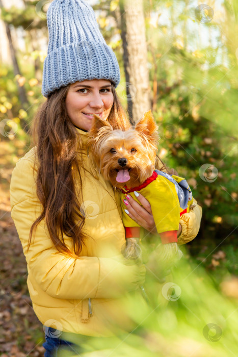 Скачать портрет женщины с собакой породы йоркширский терьер на руках в осеннем лесу фотосток Ozero