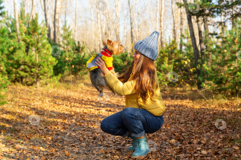 Скачать женщина гуляет по лесу и держит собаку на вытянутых руках фотосток Ozero