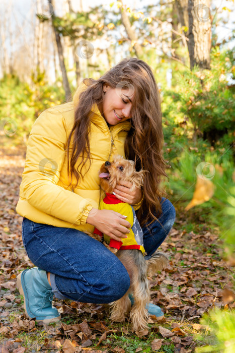 Скачать портрет женщины с собакой породы йоркширский терьер на руках в осеннем лесу фотосток Ozero