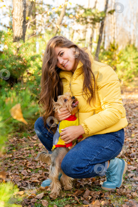 Скачать портрет женщины с собакой породы йоркширский терьер на руках в осеннем лесу фотосток Ozero