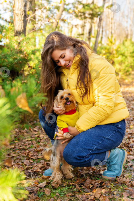 Скачать женщина гуляет по осеннему лесу и обнимает собаку фотосток Ozero