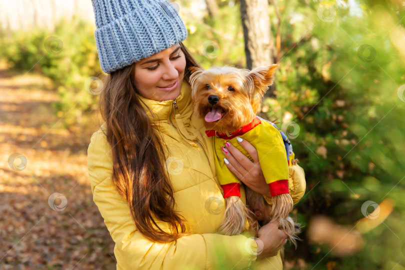 Скачать женщина гуляет по осеннему лесу и обнимает собаку фотосток Ozero