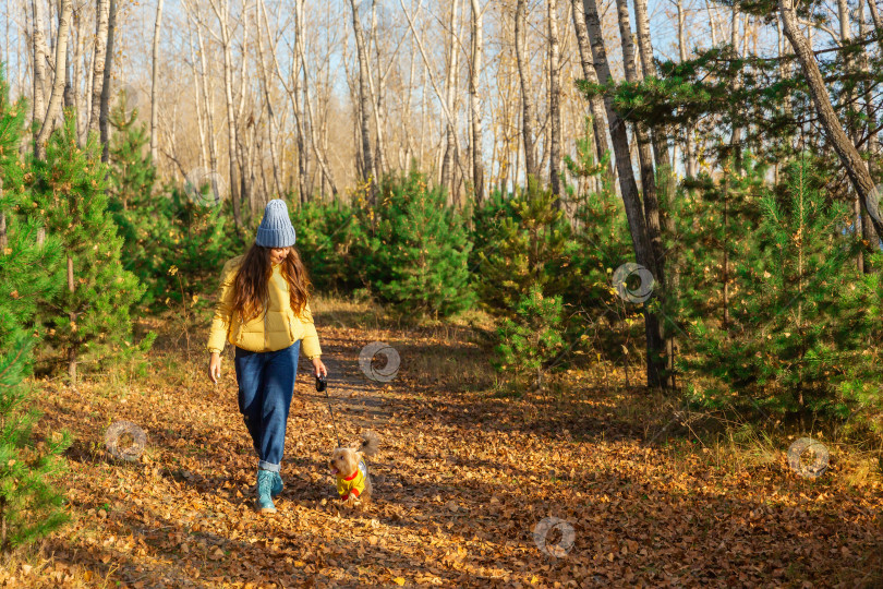 Скачать женщина гуляет с собакой по осеннему лесу фотосток Ozero